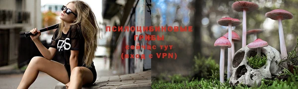 а пвп мука Переславль-Залесский