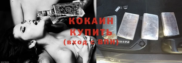 сатива Волоколамск