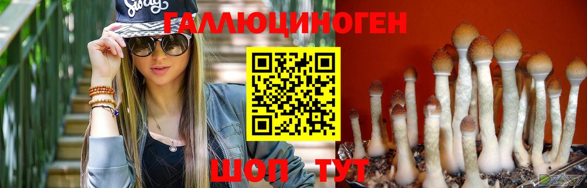 Галлюциногенные грибы Psilocybe  Вход с VPN  Лангепас 
